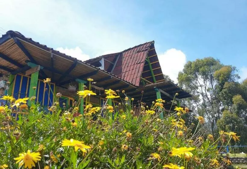 Hotelli Hostal Camino Viejo