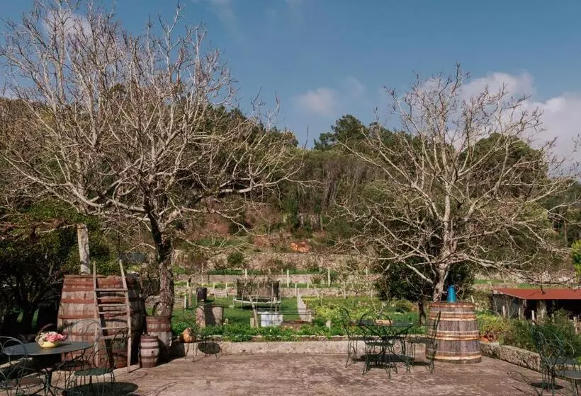 ホテル Quinta Da Quinhas