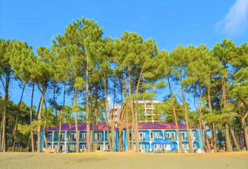 تختخواب و صبحانه Evrika Hotel Shekvetili