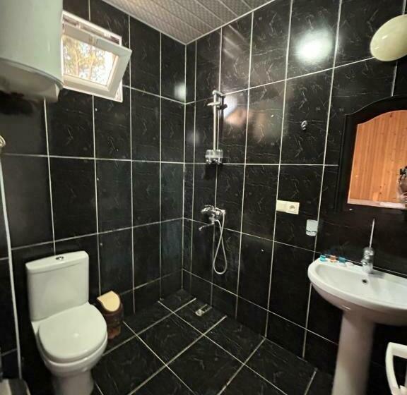 تختخواب و صبحانه Evrika Hotel Shekvetili