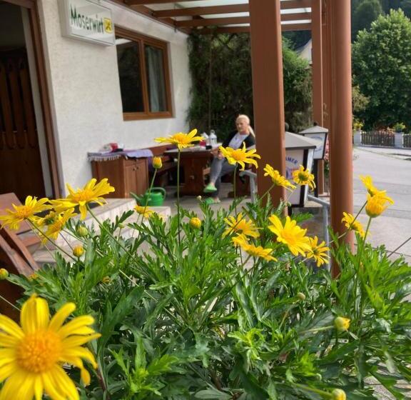 مبيت وإفطار Moserwirt Pension