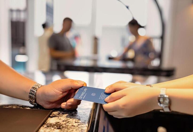 هتل Hôtel D’melin