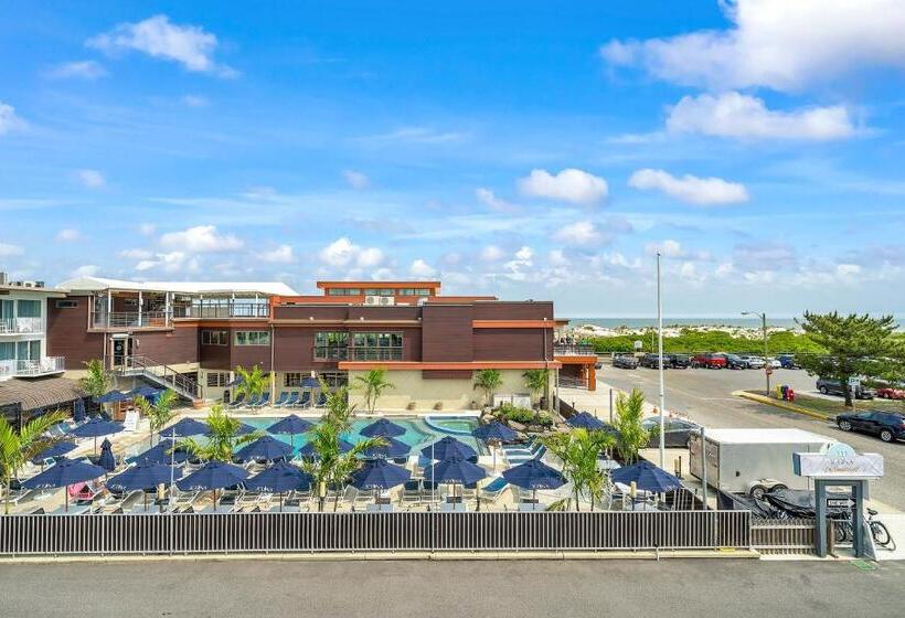 Hotel Icona Windrift