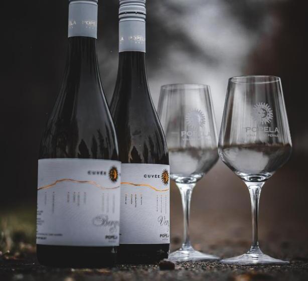 펜션 Vinařský Dům, Vinařství Popela Perná