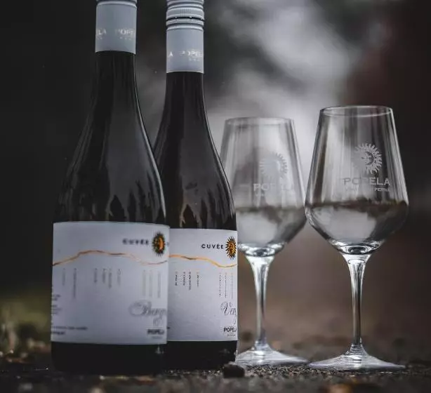 ペンション Vinařský Dům, Vinařství Popela Perná