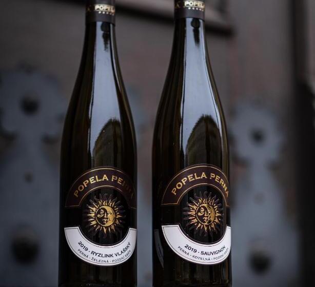 펜션 Vinařský Dům, Vinařství Popela Perná