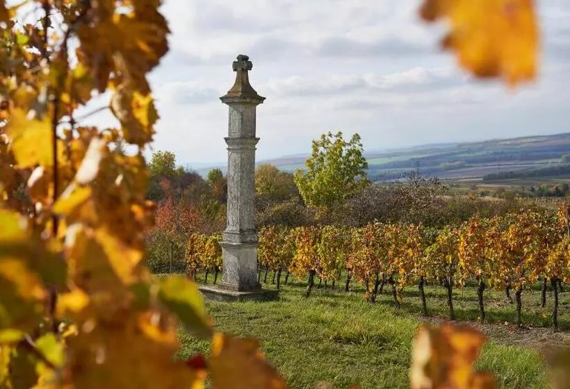 ペンション Vinařský Dům, Vinařství Popela Perná