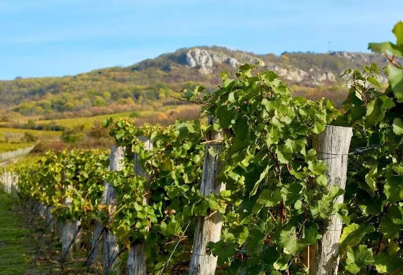 ペンション Vinařský Dům, Vinařství Popela Perná