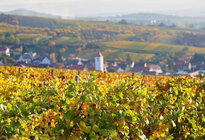 ペンション Vinařský Dům, Vinařství Popela Perná