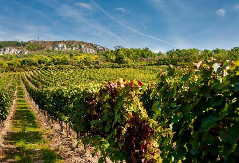 펜션 Vinařský Dům, Vinařství Popela Perná