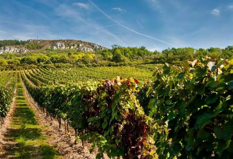 ペンション Vinařský Dům, Vinařství Popela Perná