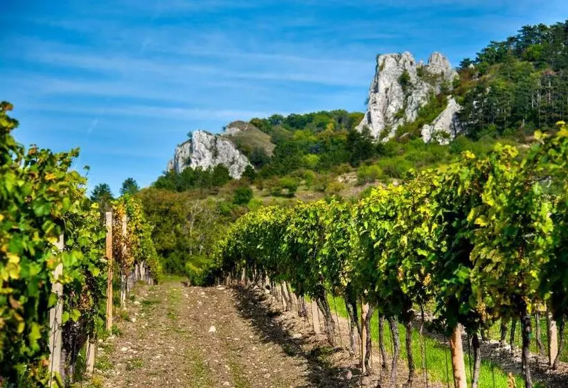 ペンション Vinařský Dům, Vinařství Popela Perná