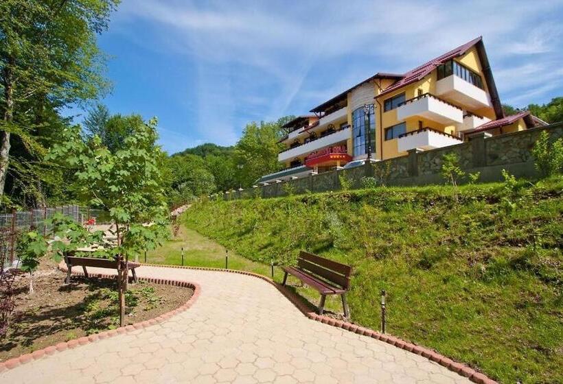 Pensiunea Iulia Star