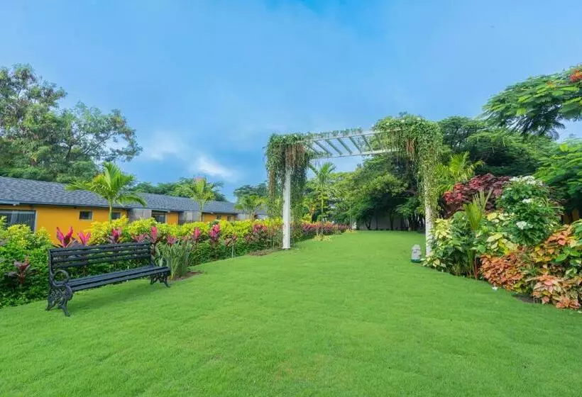 Darza Luxury Resorts