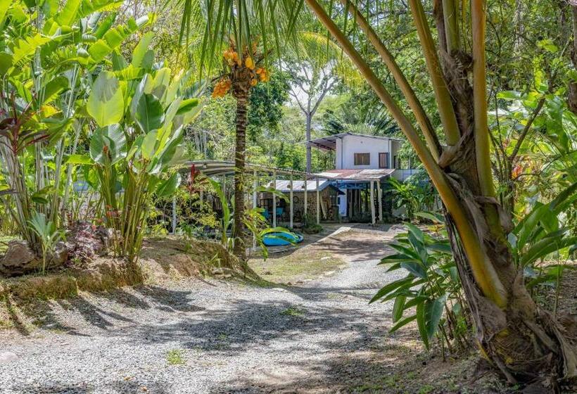 Общежитие Uvita River Guesthouse