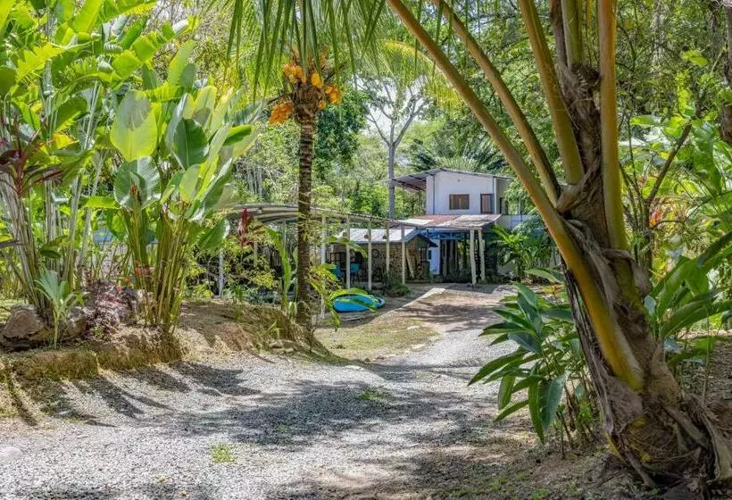 هاستل Uvita River Guesthouse
