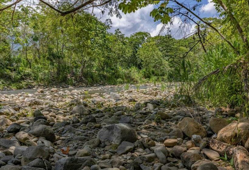 Общежитие Uvita River Guesthouse