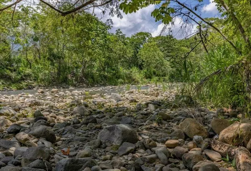 هاستل Uvita River Guesthouse
