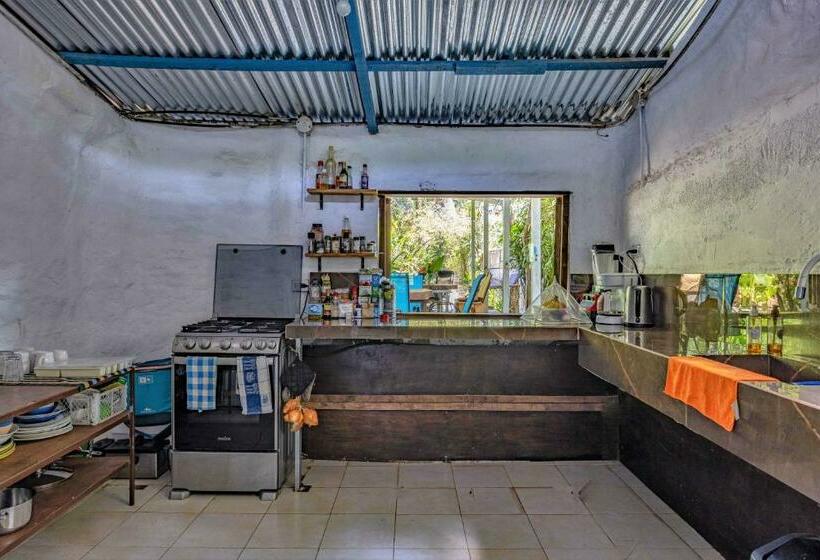 Общежитие Uvita River Guesthouse