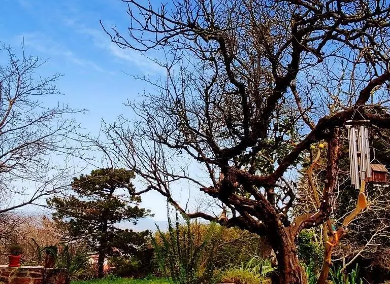 Aamiaismajoitus (B&B) Casa Rural Casa Selmo