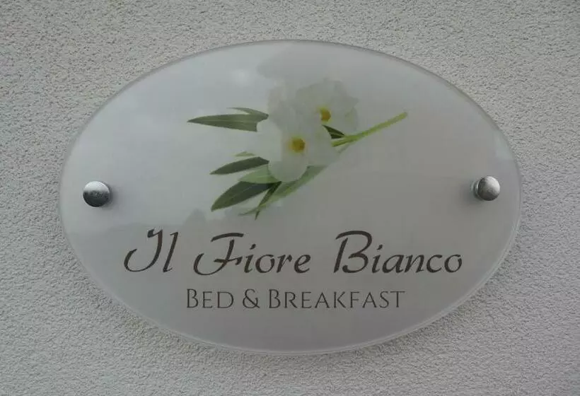 Aamiaismajoitus (B&B) Il Fiore Bianco