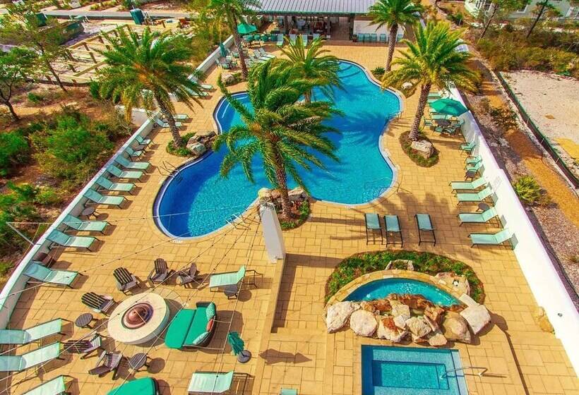 Delayed Gratification