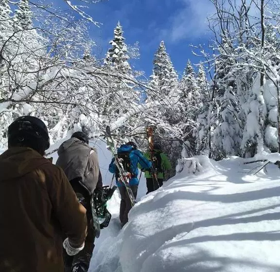 Auberge De Jeunesse Du Domaine à Liguori