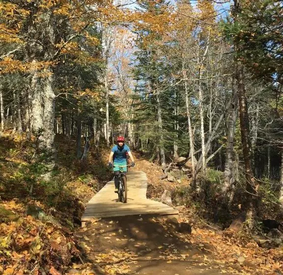 Auberge De Jeunesse Du Domaine à Liguori