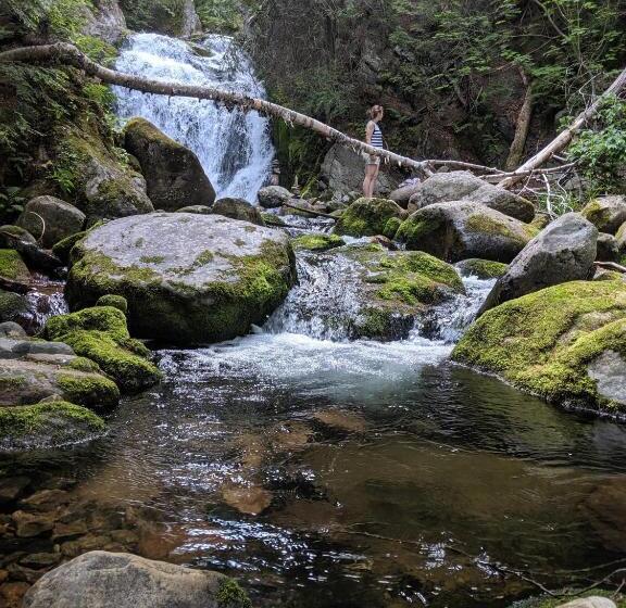 فندق صغير Auberge De Jeunesse Du Domaine à Liguori