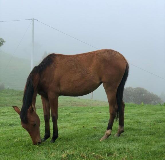 Finca Hotel La Fortuna