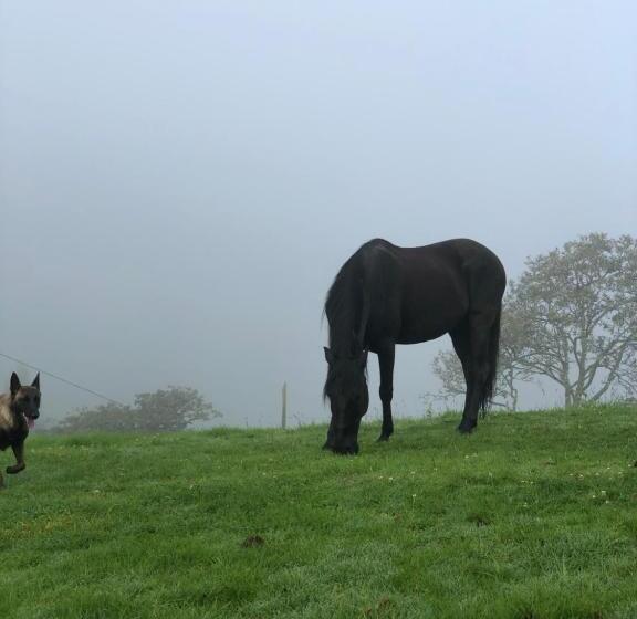 Finca Hotel La Fortuna