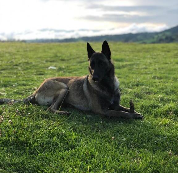 Finca Hotel La Fortuna
