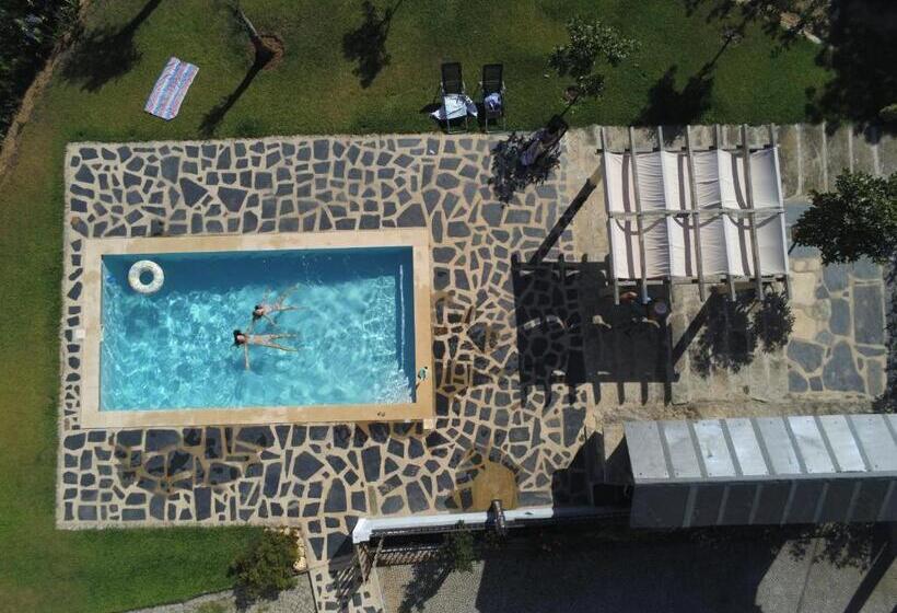 膳宿费 Abrigo Das Andorinhas