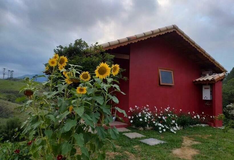 Общежитие Pousada Chales Joao De Barro