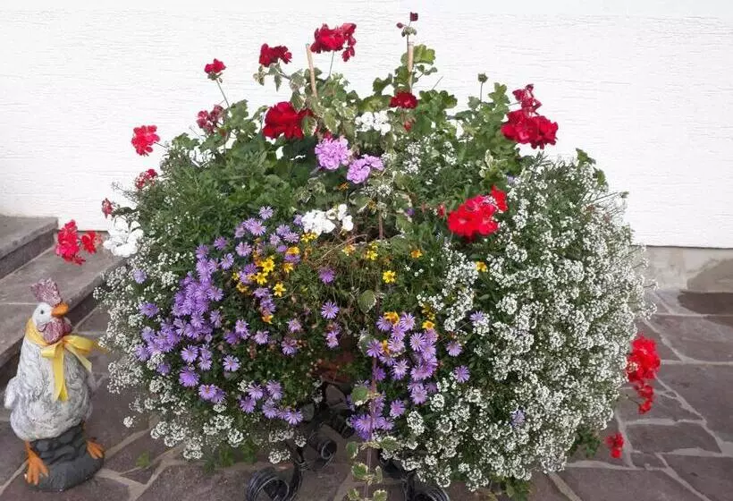 ベッドアンドブレックファースト Pension Unterhof