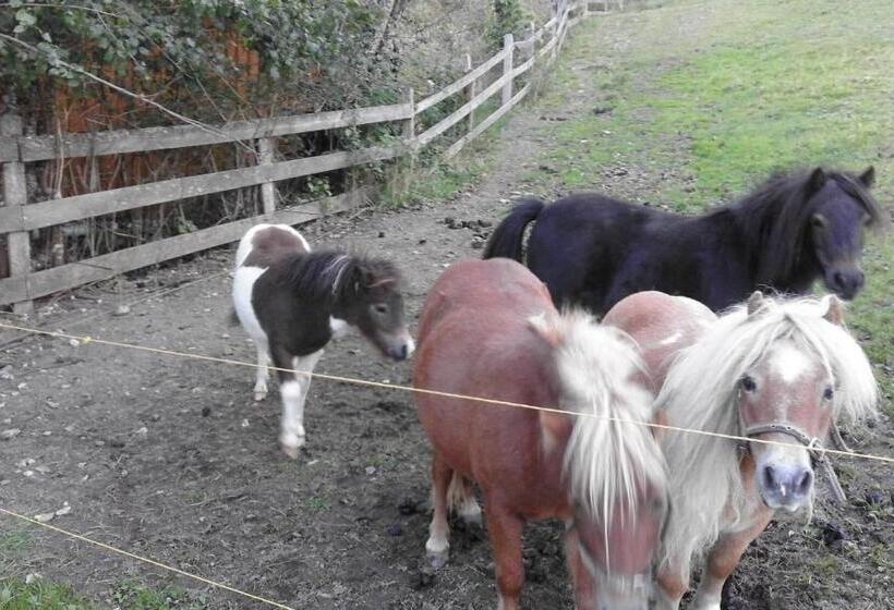 ベッドアンドブレックファースト Pension Unterhof