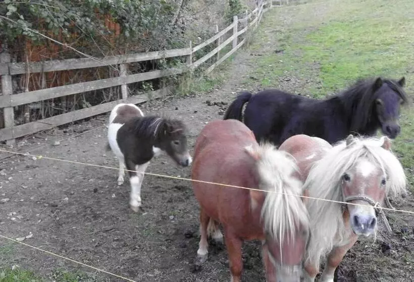 ベッドアンドブレックファースト Pension Unterhof