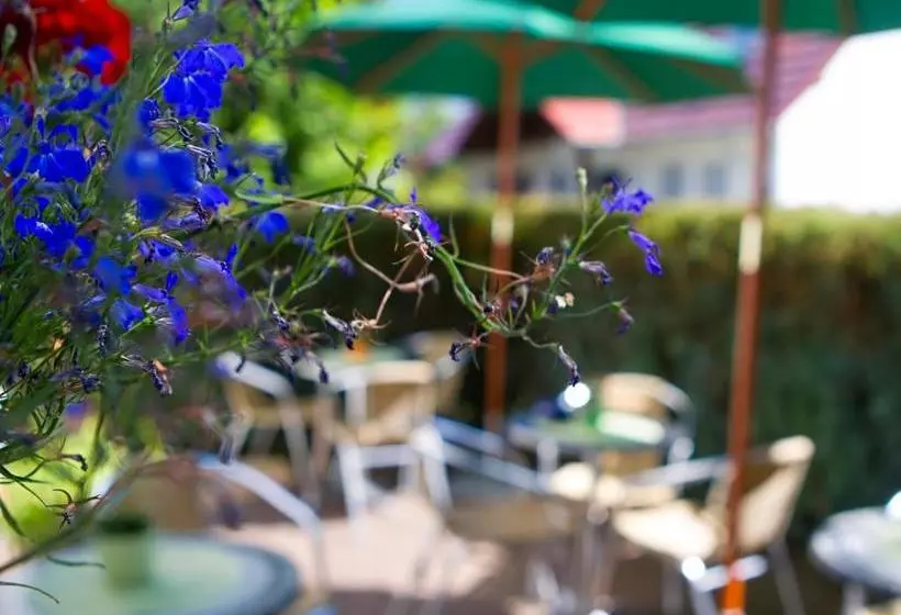 Bed and Breakfast Pension Jägerhaus