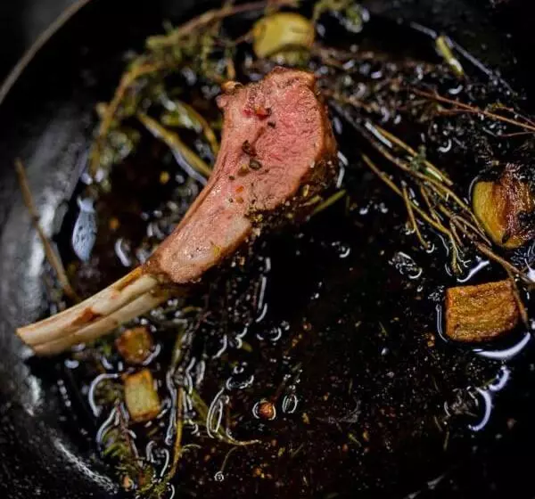 فندق Altes Gutshaus