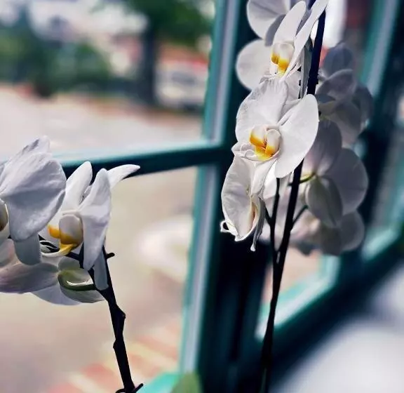 فندق Altes Gutshaus