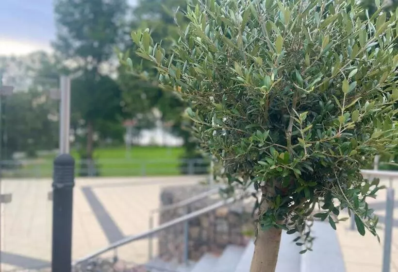 فندق Altes Gutshaus