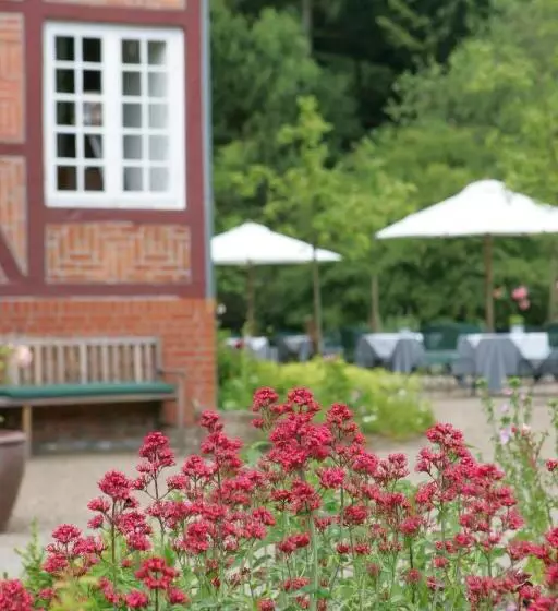 Отель Waldhof Auf Herrenland