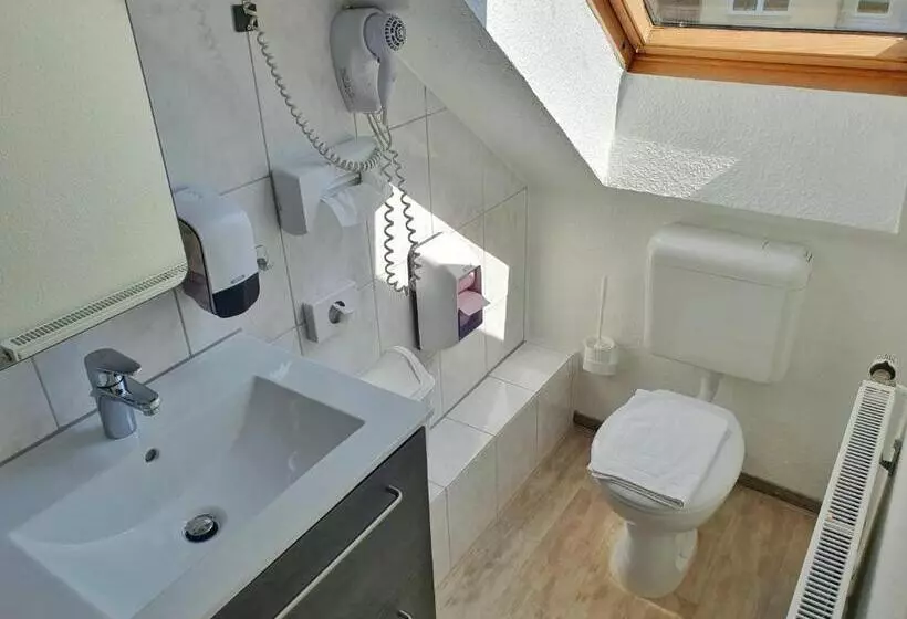 פנסיון Aparthotel Marion Weber