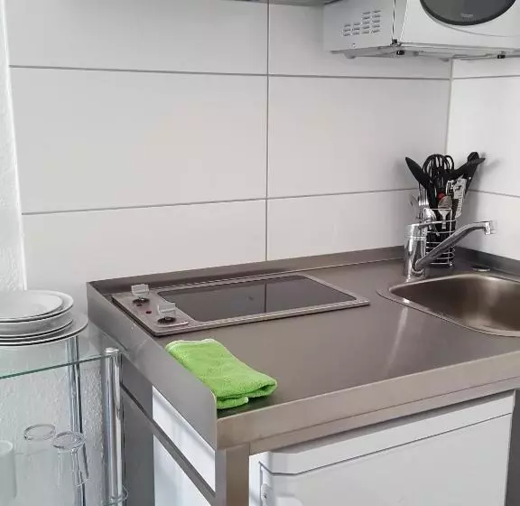 פנסיון Aparthotel Marion Weber