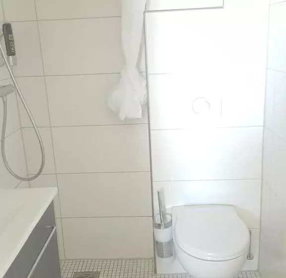 פנסיון Aparthotel Marion Weber