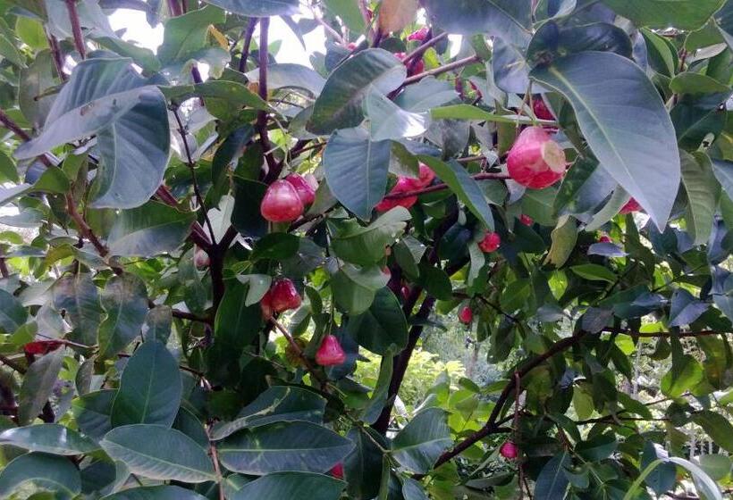 Hotelli Shawn Dale Homestay