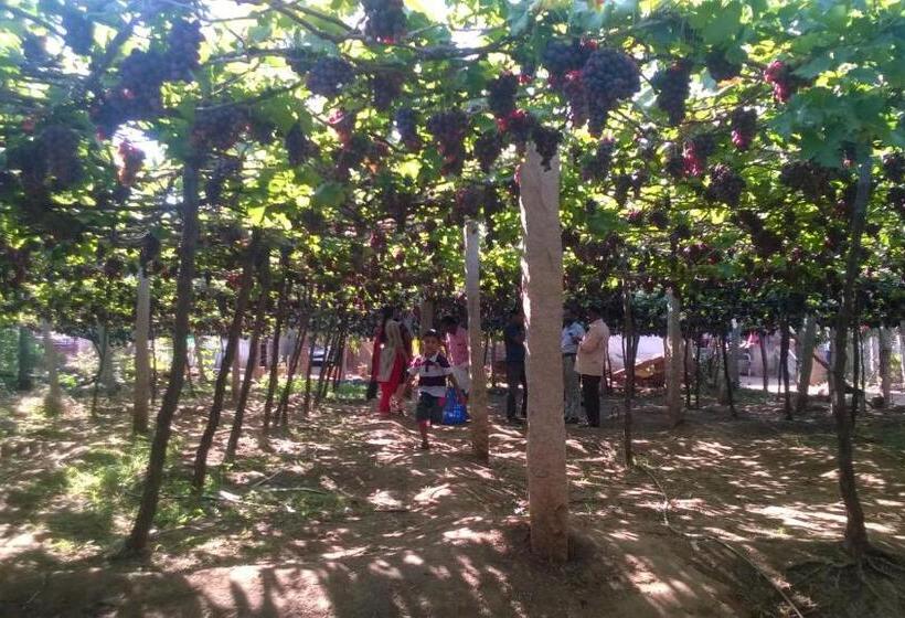 Hotelli Shawn Dale Homestay