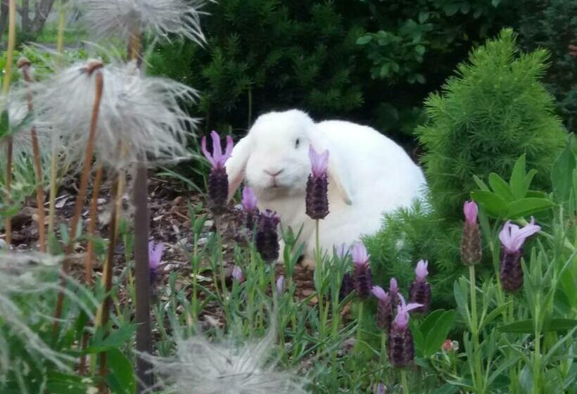 Pension Dreiländerblick