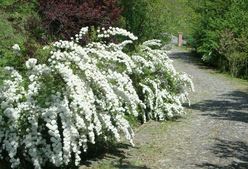 ベッドアンドブレックファースト Cascina Nel Bosco