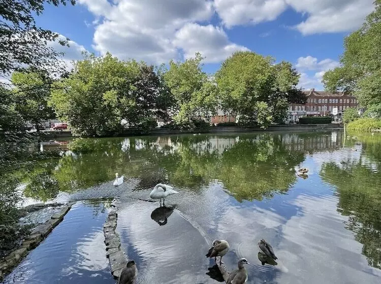 Immaculate 1 Bedroom Flat In Orpington